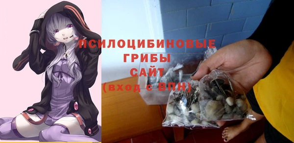 мдпв Медногорск