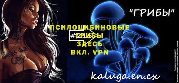 мет Мегион