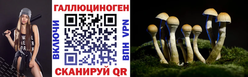 Галлюциногенные грибы Psilocybe Данков